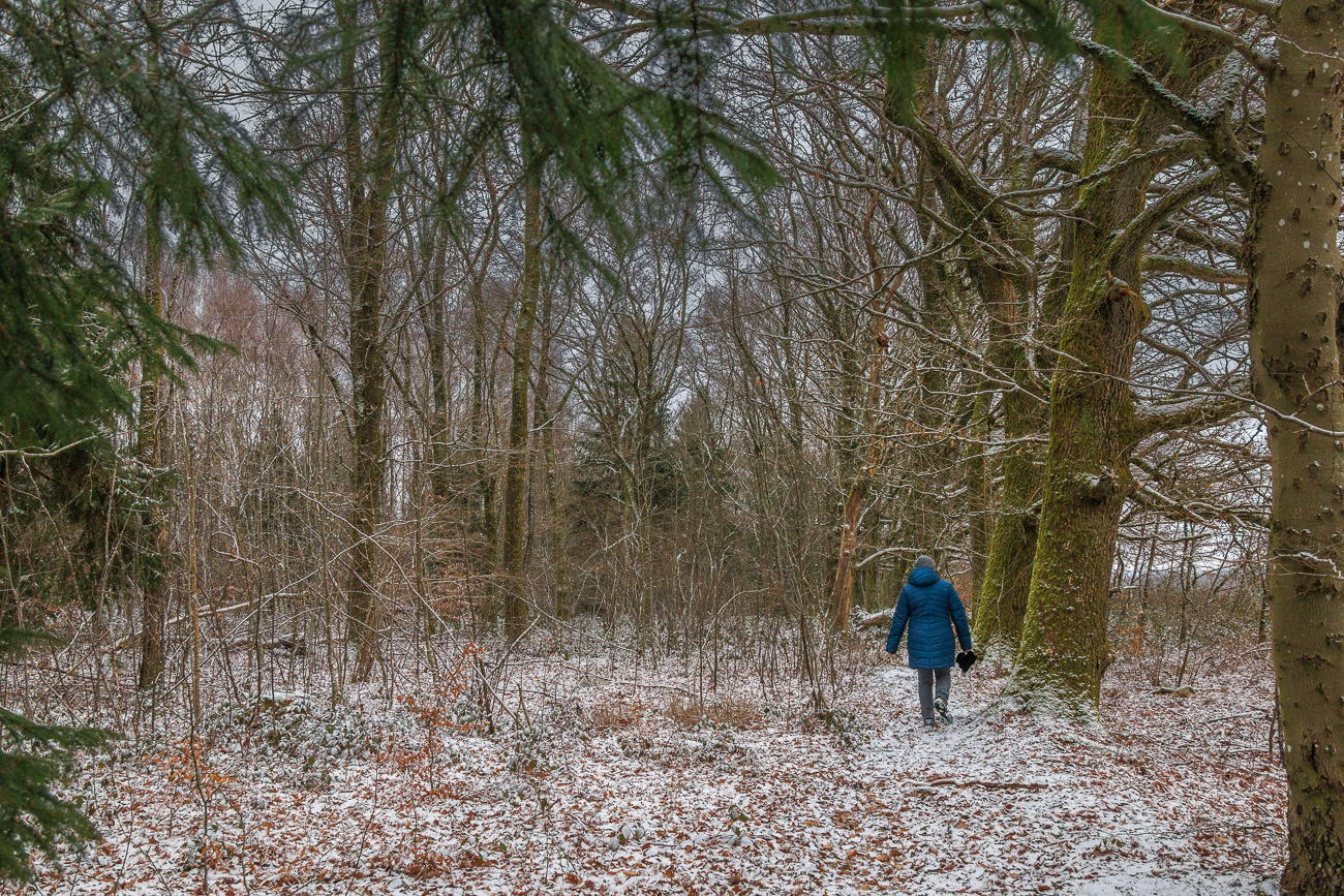 Trotz Mittagszeit ist es dunkel im Wald