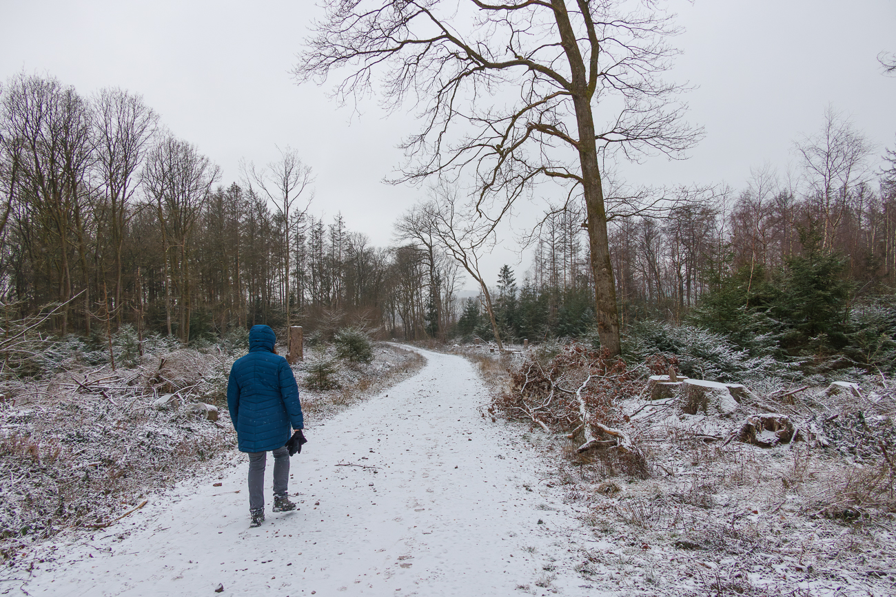 Gewanderte Strecken in 2026