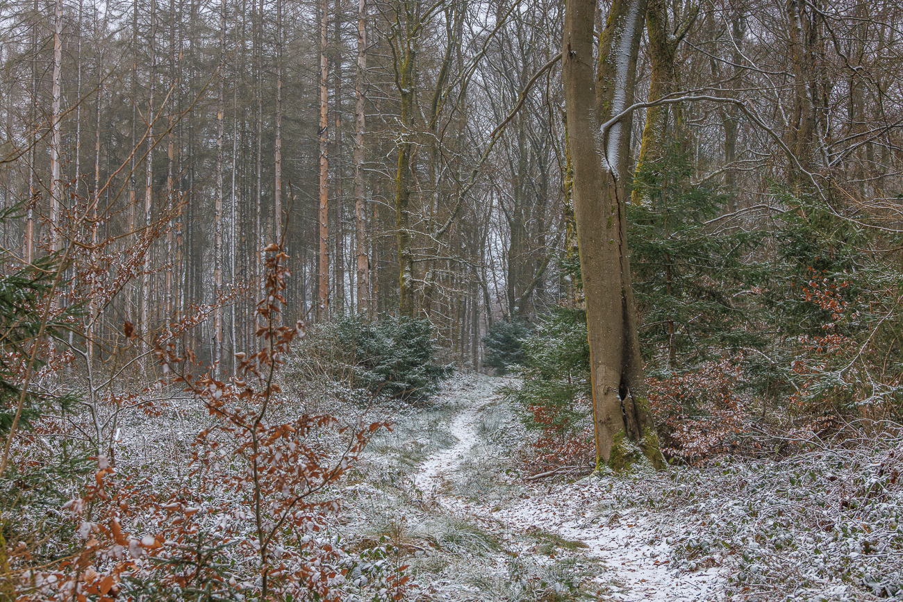 Einige Wanderungen die wir 2026 im Saarland unternommen haben
