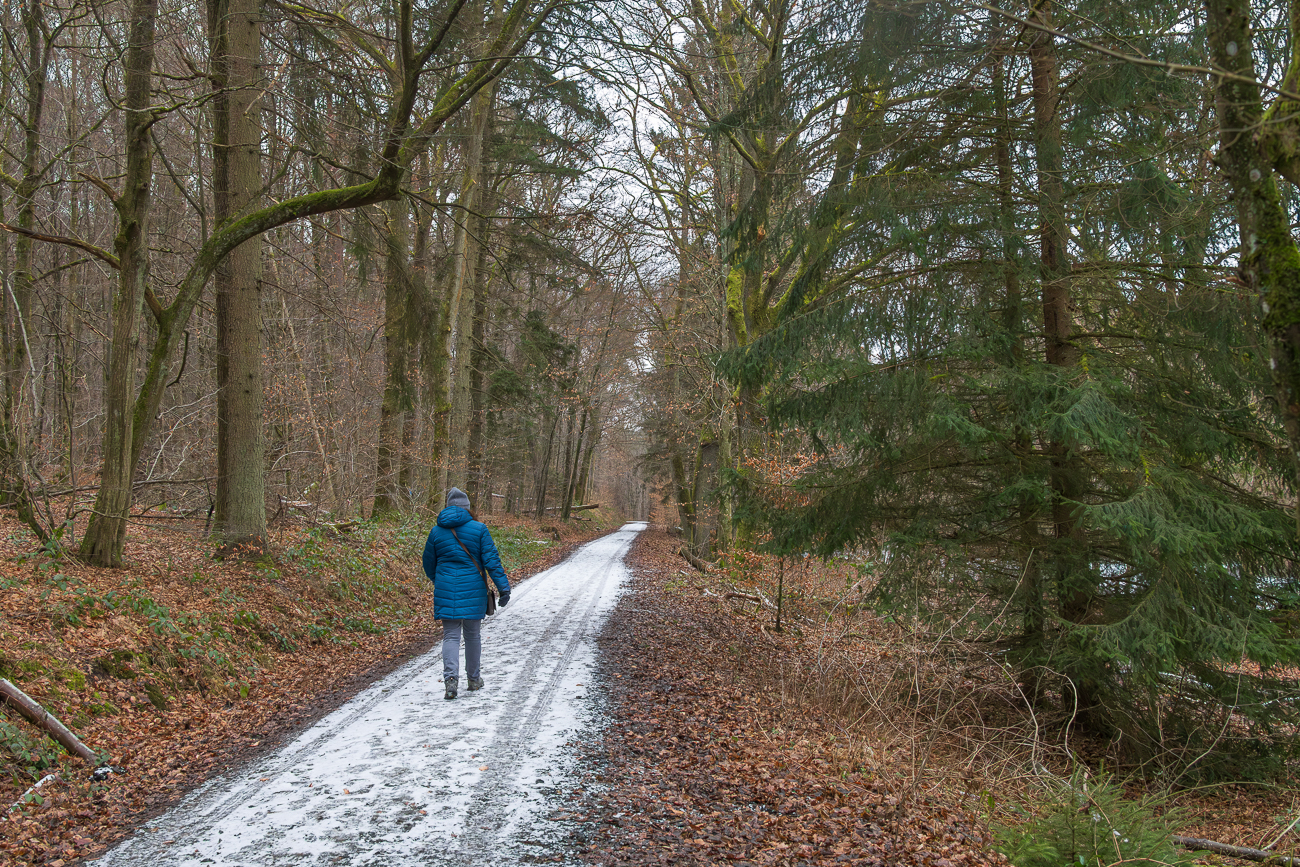 Rutschiger Weg durch den Wald
