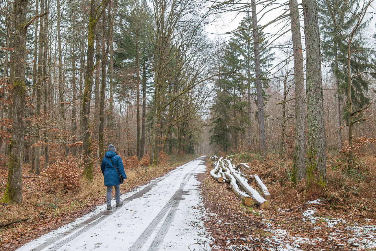 Auf dem R&uuml;ckweg