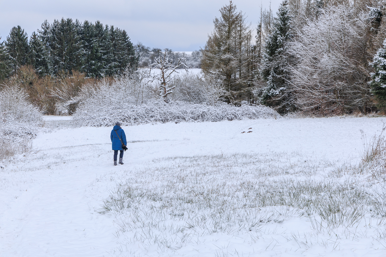 Durch die verschneite Natur