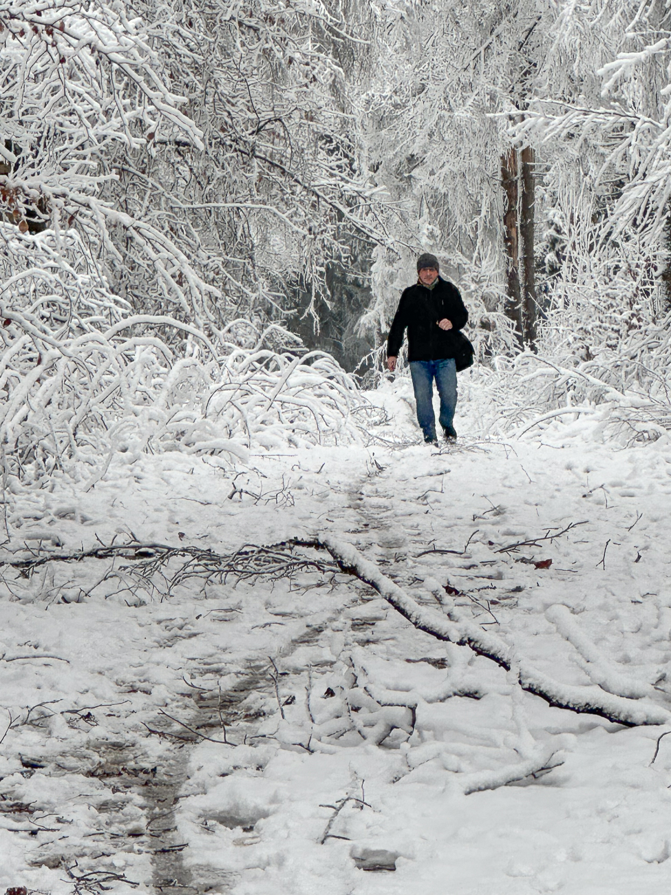 Der Boden ist schon aufgetaut ...
