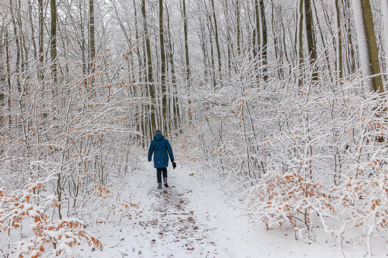 Waldweg in wei&szlig;