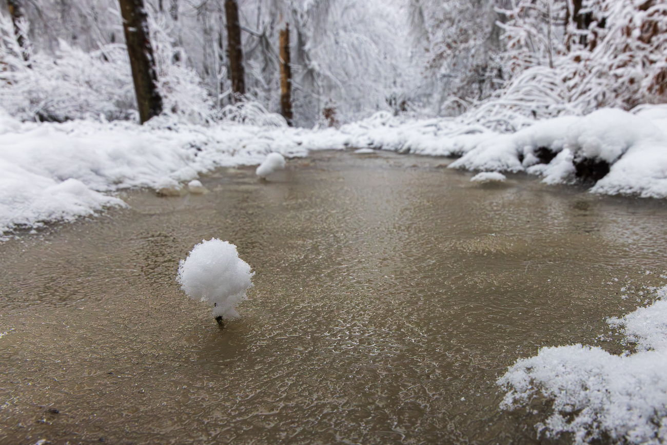 ... und das Eis auf der Pf&uuml;tze ist schon fast geschmolzen