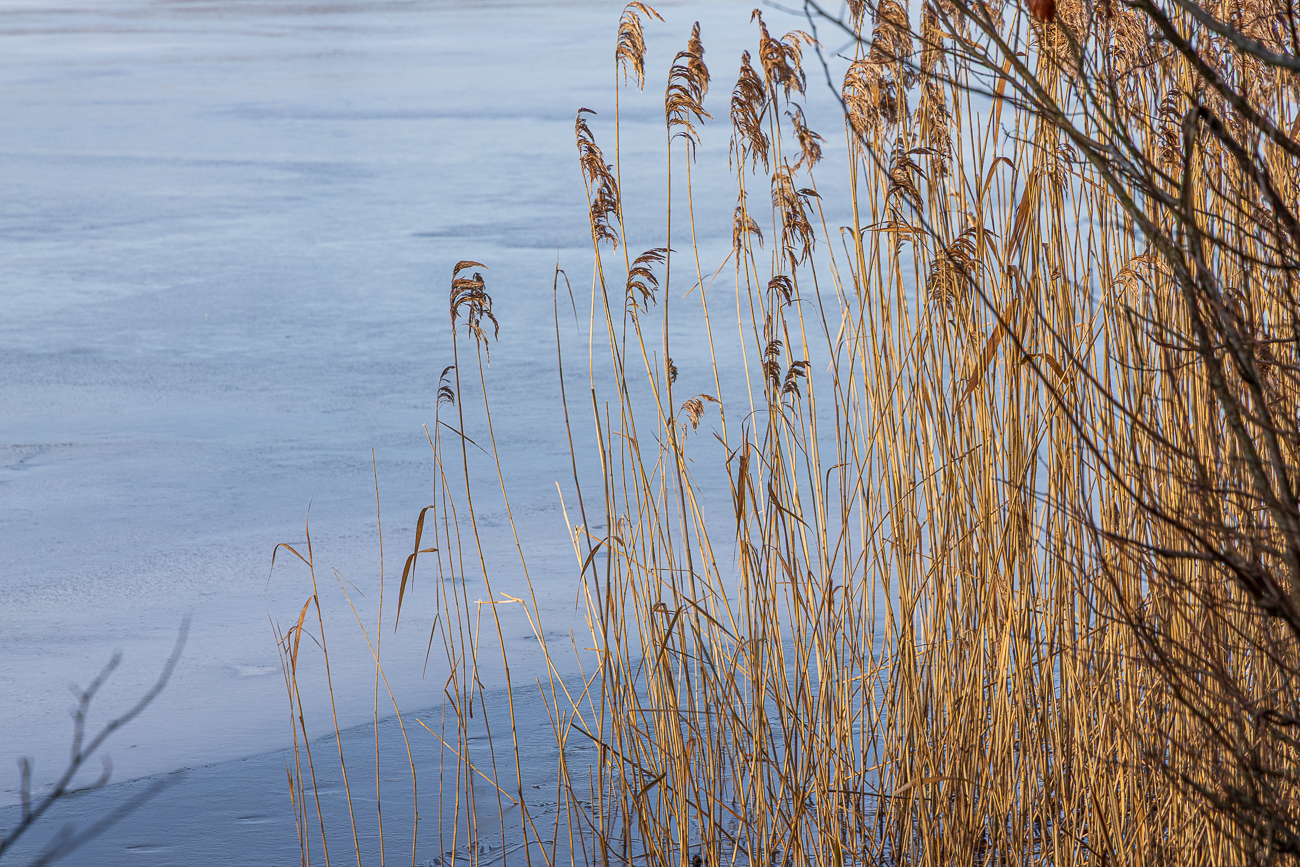 Der Bostalsee ist zum Teil noch zugefroren ...
