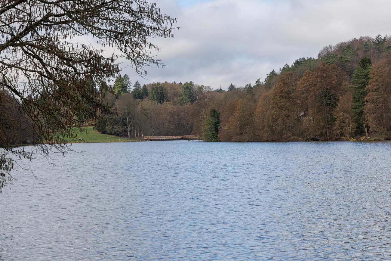Der W&uuml;rzbacher Weiher