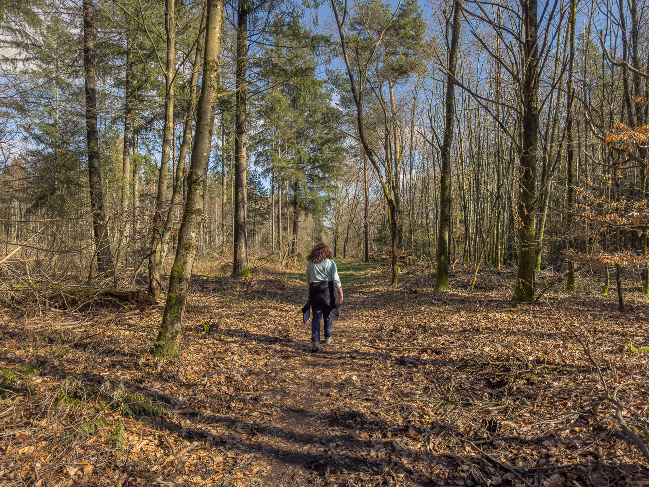 Endlich im Wald