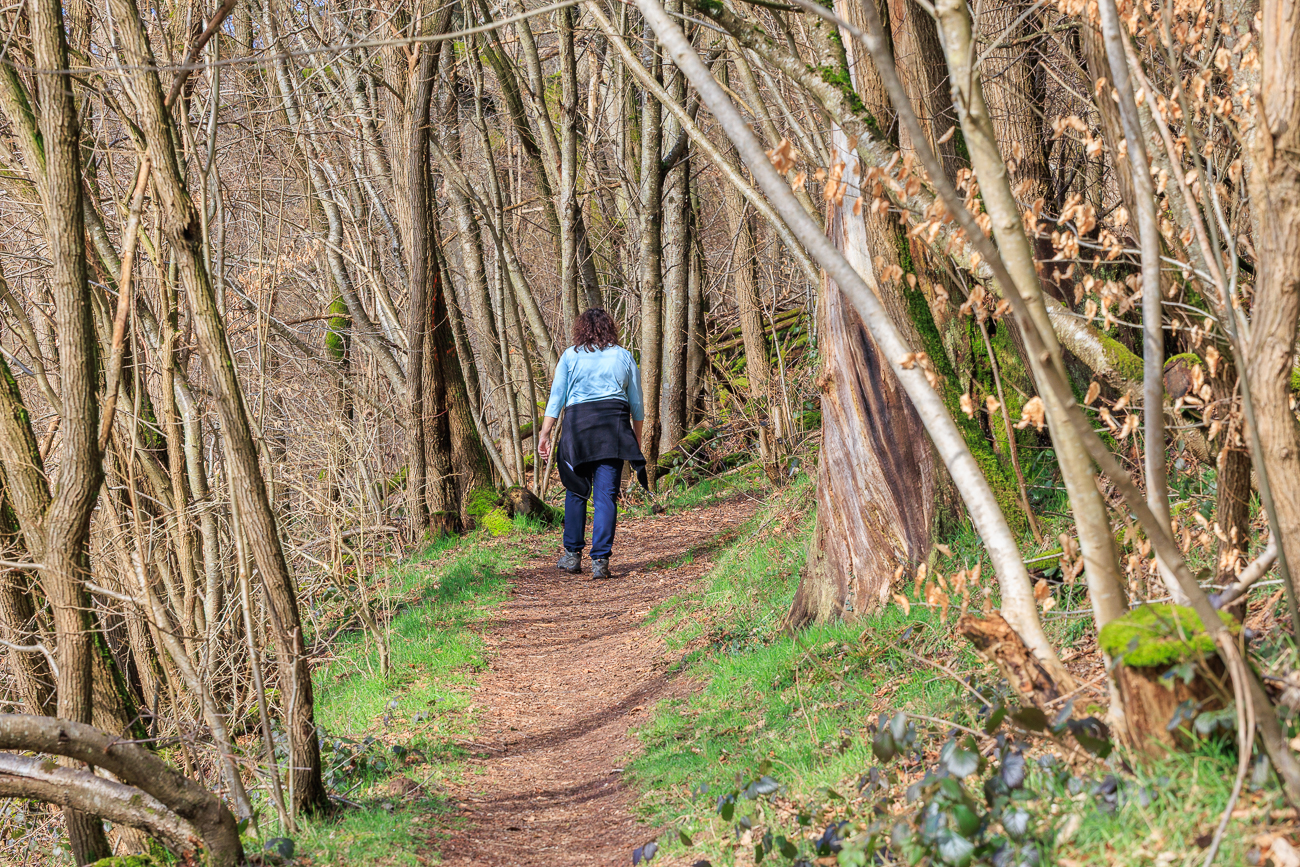Wanderweg durch den Wald
