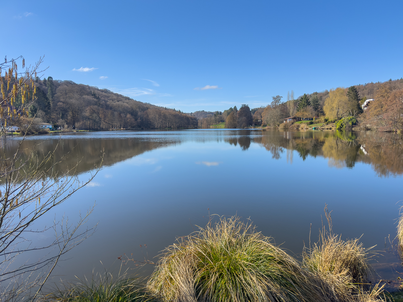 Zurück am Würzbacher Weiher
