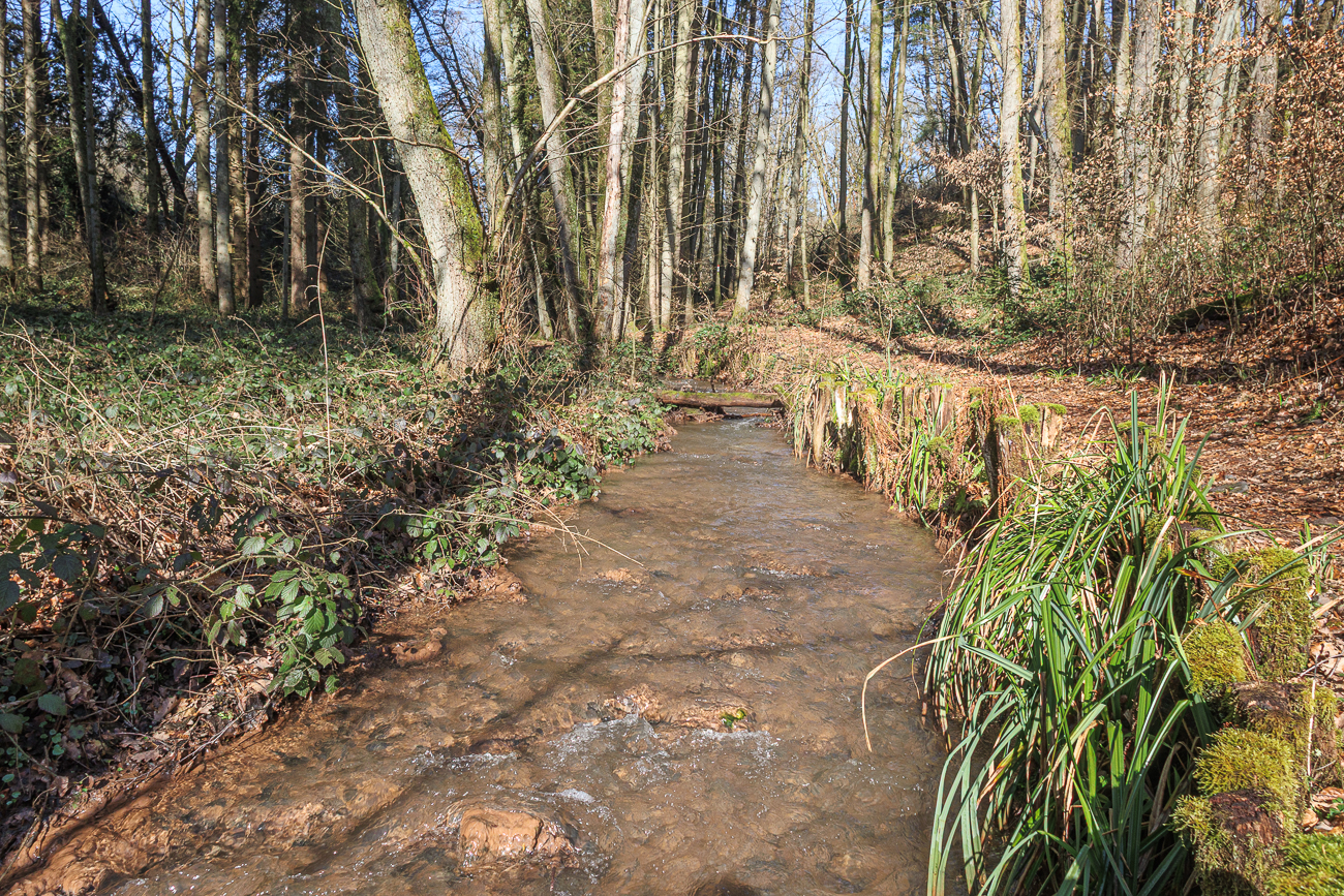 Nochmal der Feilbach