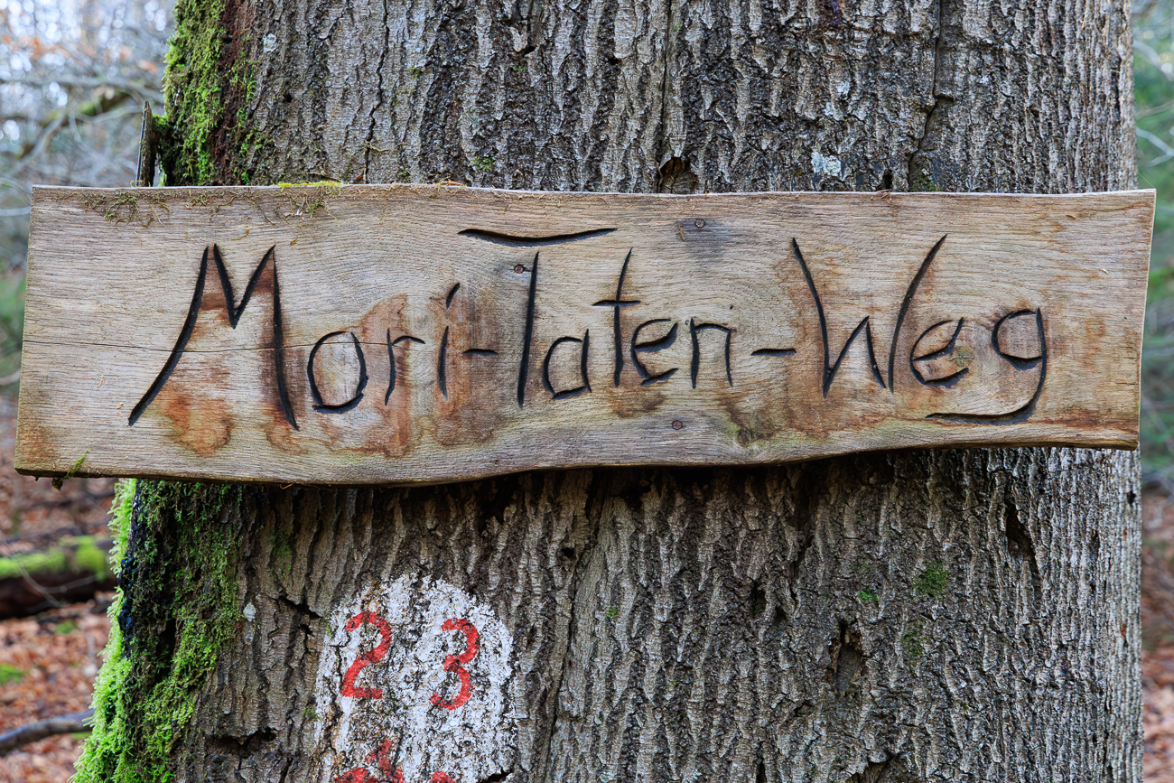 Zun&auml;chst auf dem Mori-Taten-Weg