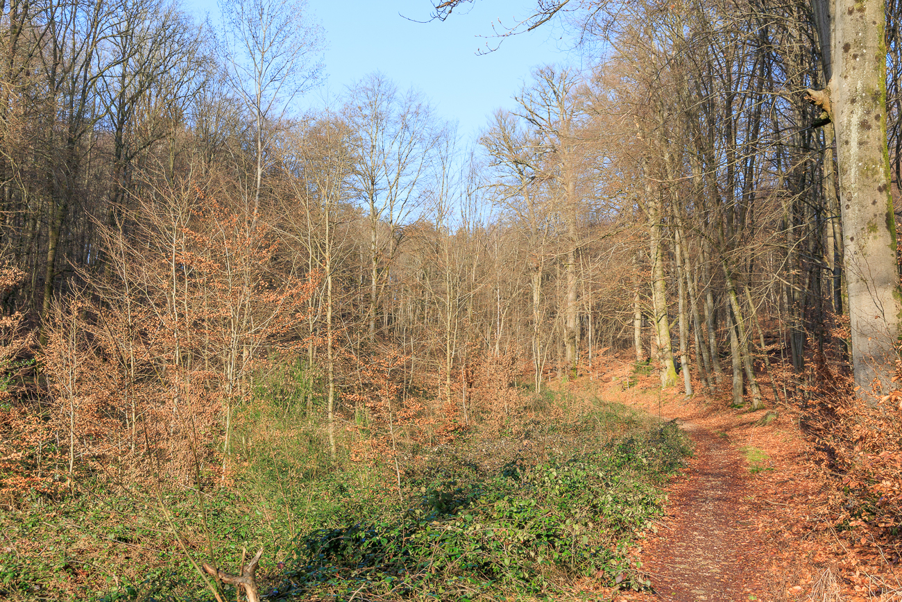 Die Luft ist heute Morgen noch k&uuml;hl, doch die Sonne w&auml;rmt