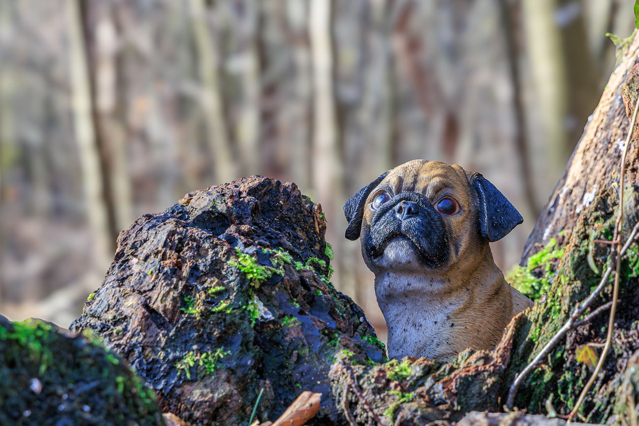 T&auml;uschend echt ;-)