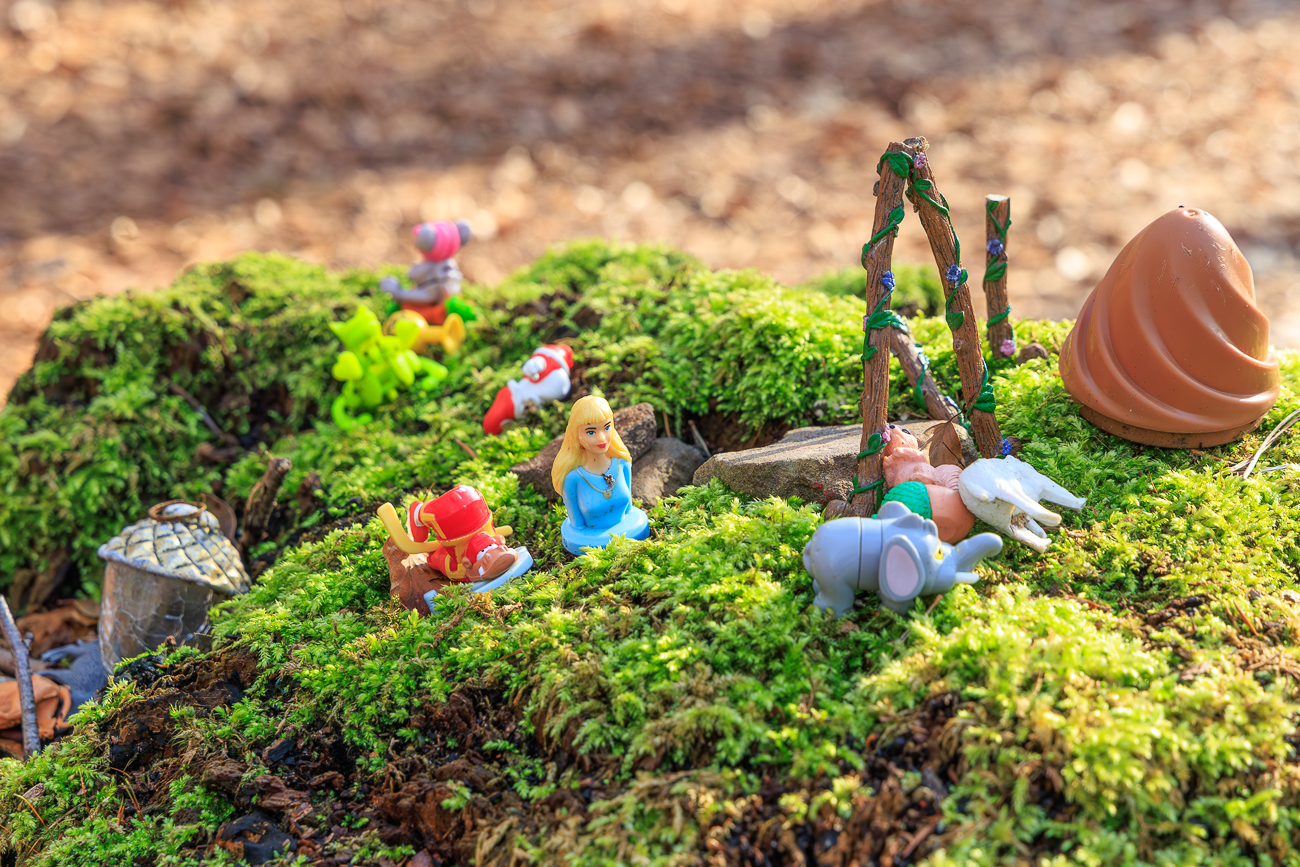 ... den Wald zu schm&uuml;cken