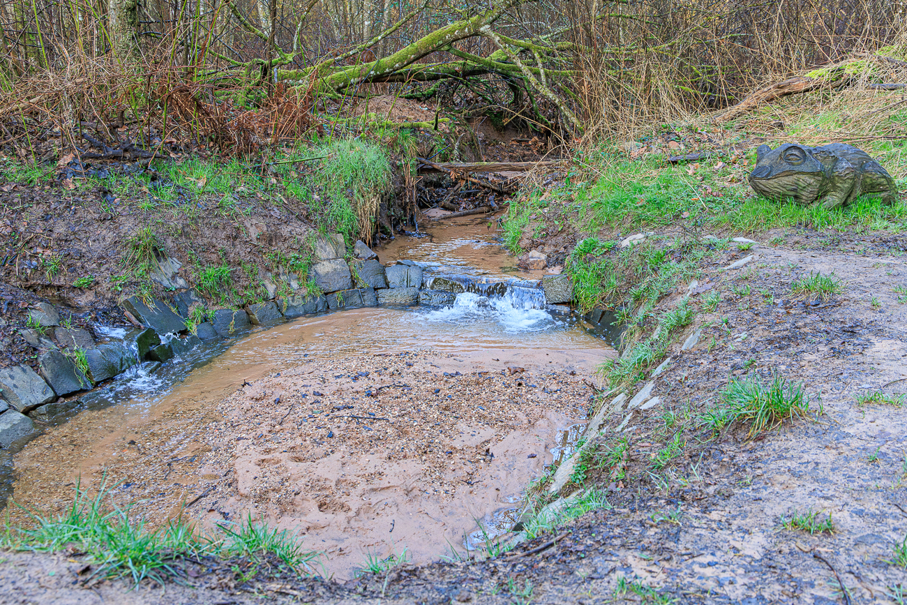 Ganz sch&ouml;n gro&szlig;, der Frosch ;-)