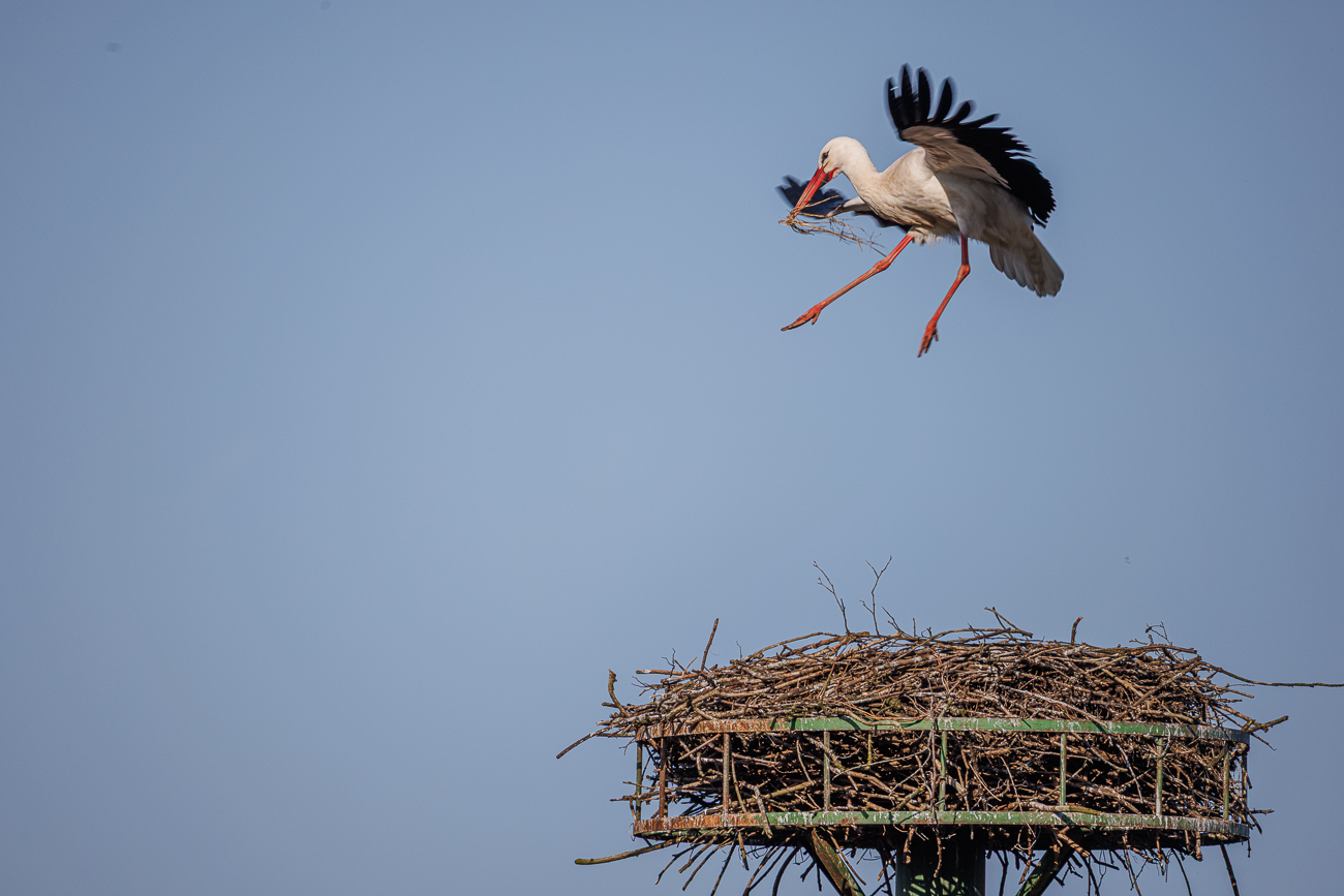 Kurz vor der Landung