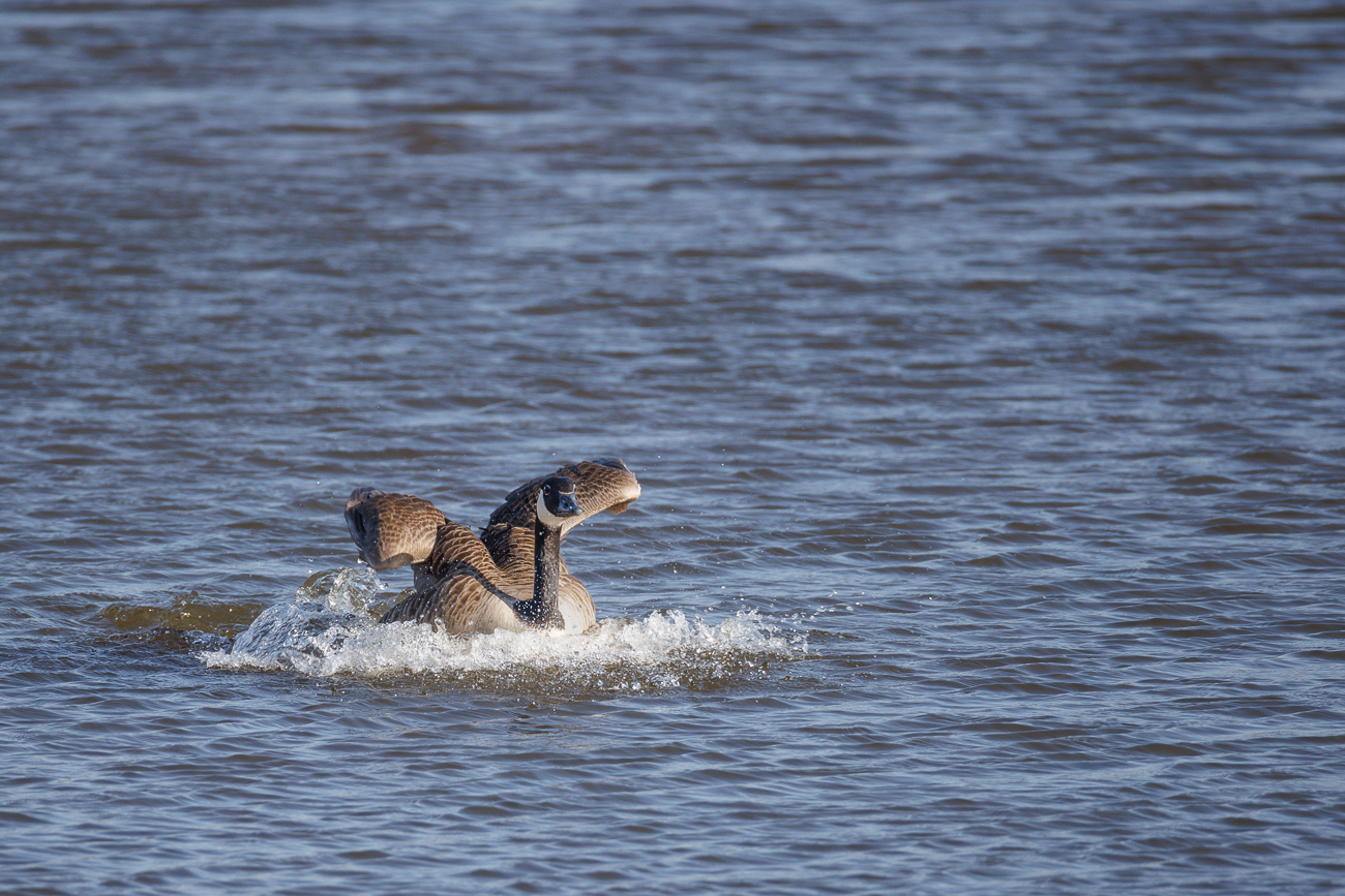 ... und Touchdown :-)