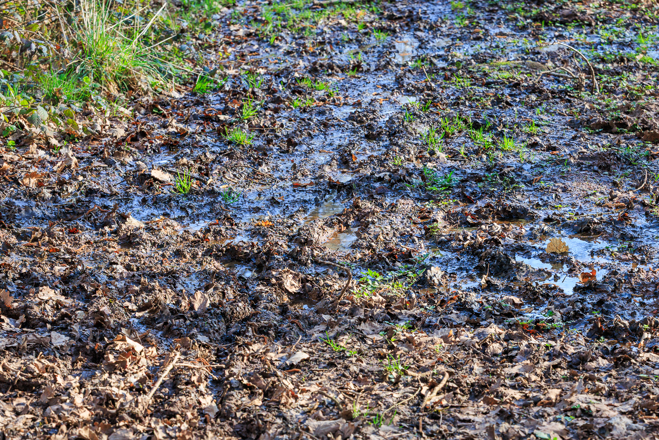 So sahen einige Stz&uuml;cke des Weges aus, Gummistiefel w&auml;ren angebracht gewesen