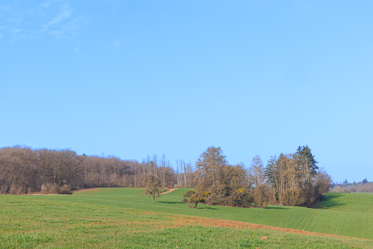 H&uuml;gelige Landschaft