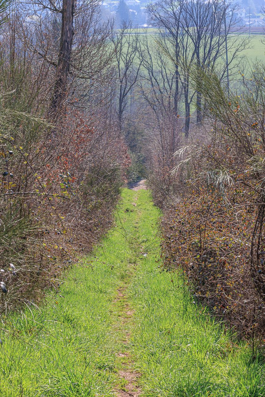 Steiler Weg ins Tal