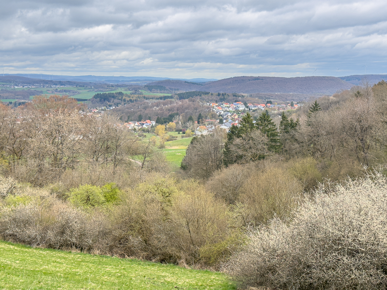 Blick Richtung Tholey