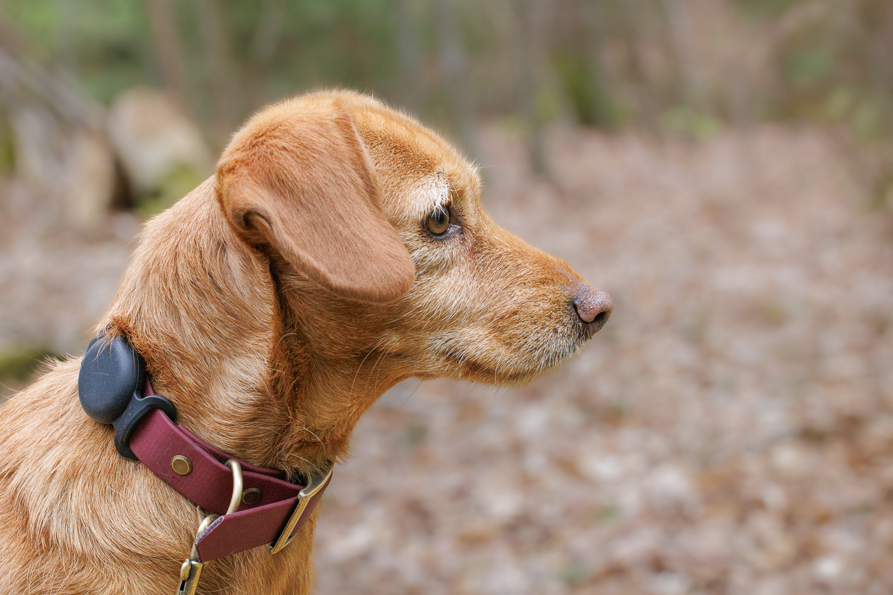 Immer auf Beutesuche ;-)