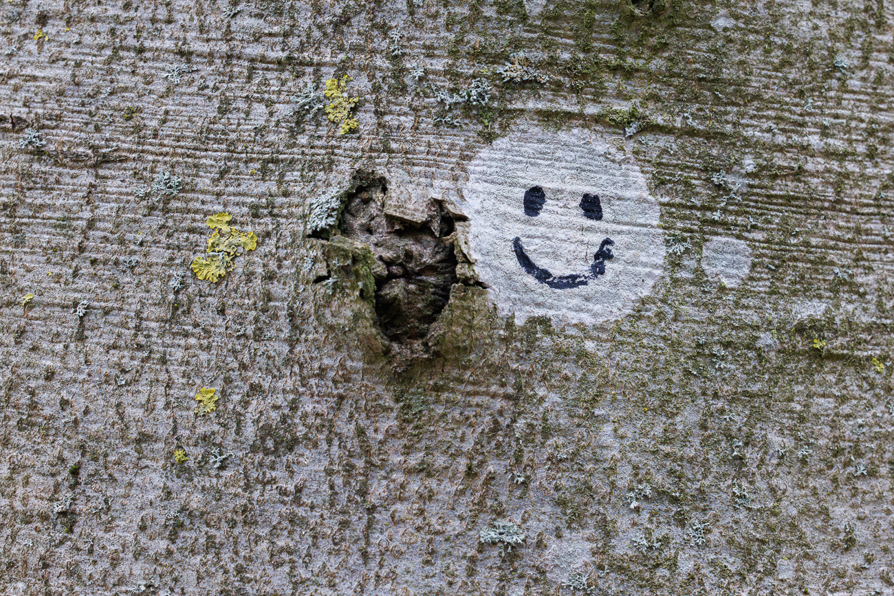Da hat jemand einen Smiley aus der Flechte gemacht ;-)