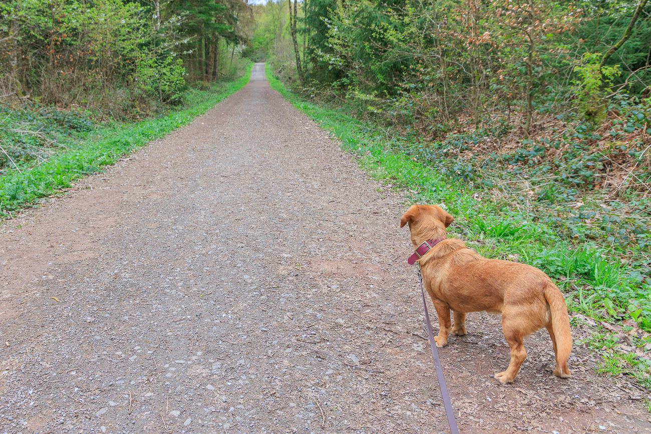 Sooo weit laufen wir noch?