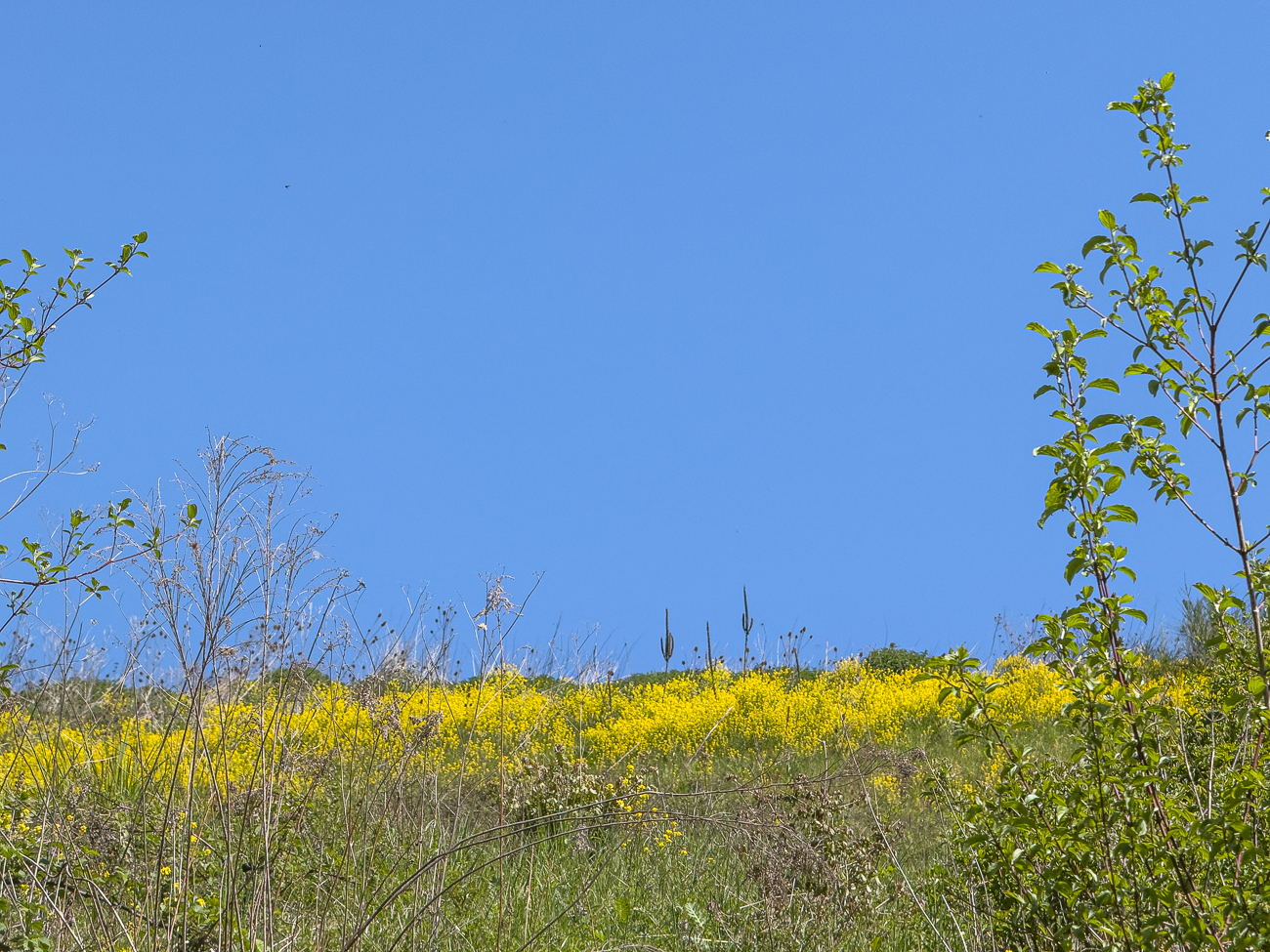 Berghalden-Landschaft