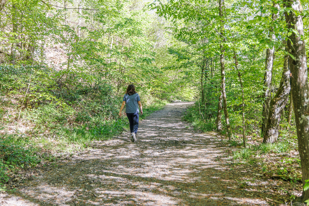 Schattiger Waldweg