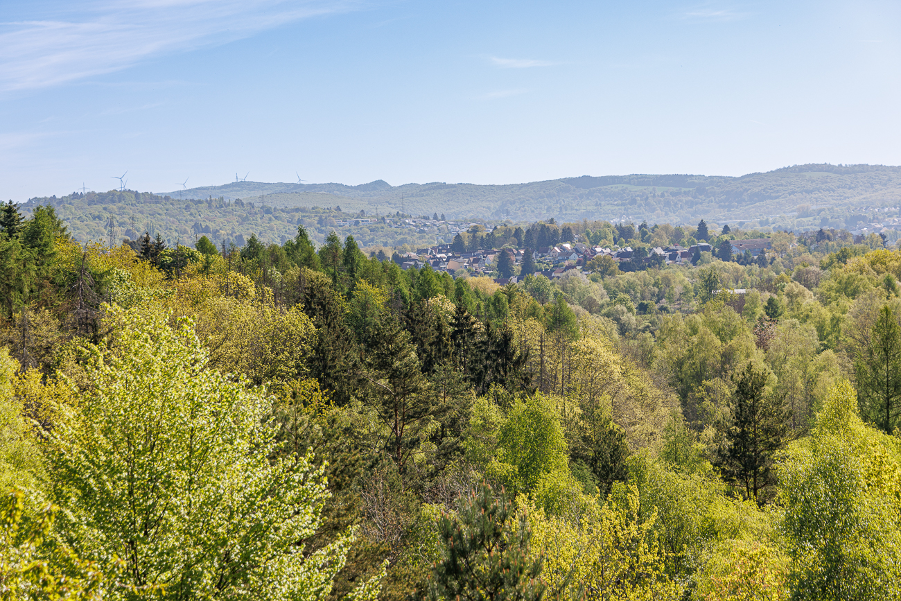 Haldenlandschaft