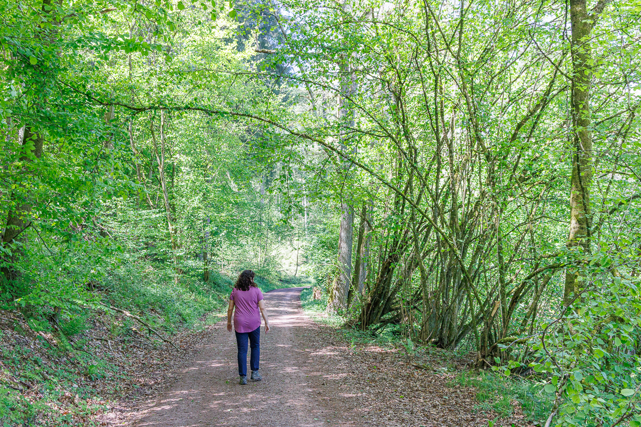 Ab durch den schattigen Wald