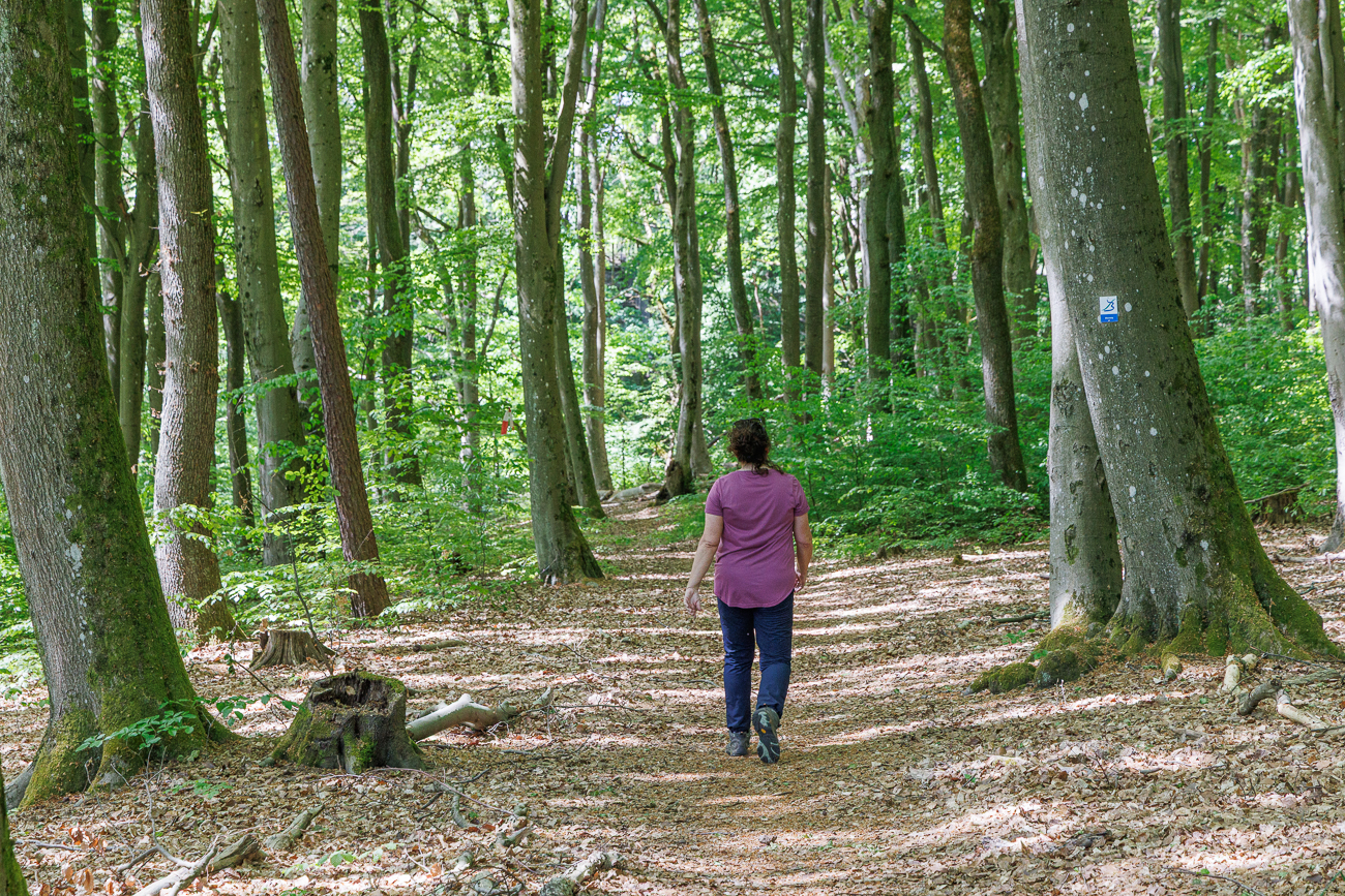 Endlich im schattigen Wald