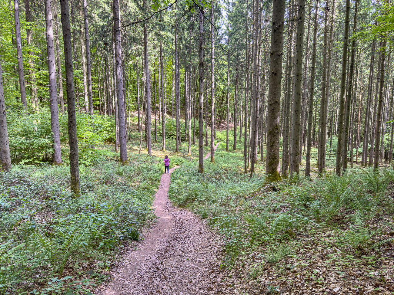 Der Weg wird schmaler ...