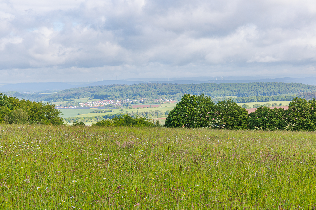Panoramablick 1