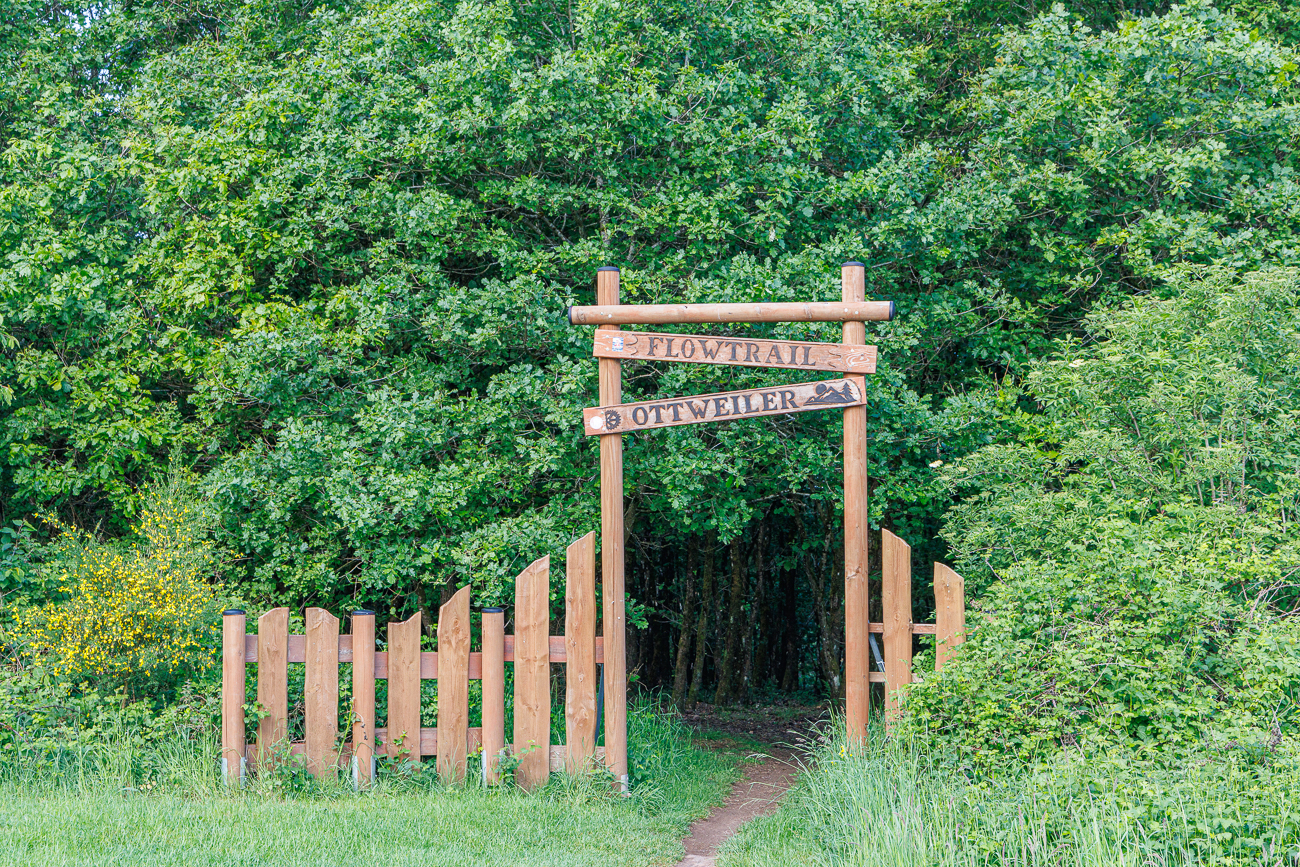 Hier geht es auf den Flowtrail Ottweiler