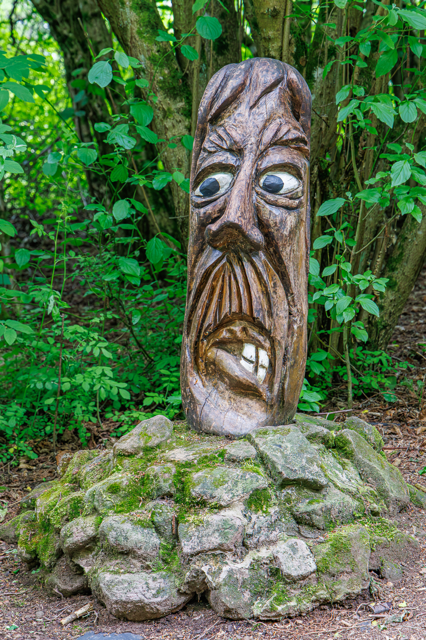 Grimmiges Gesicht