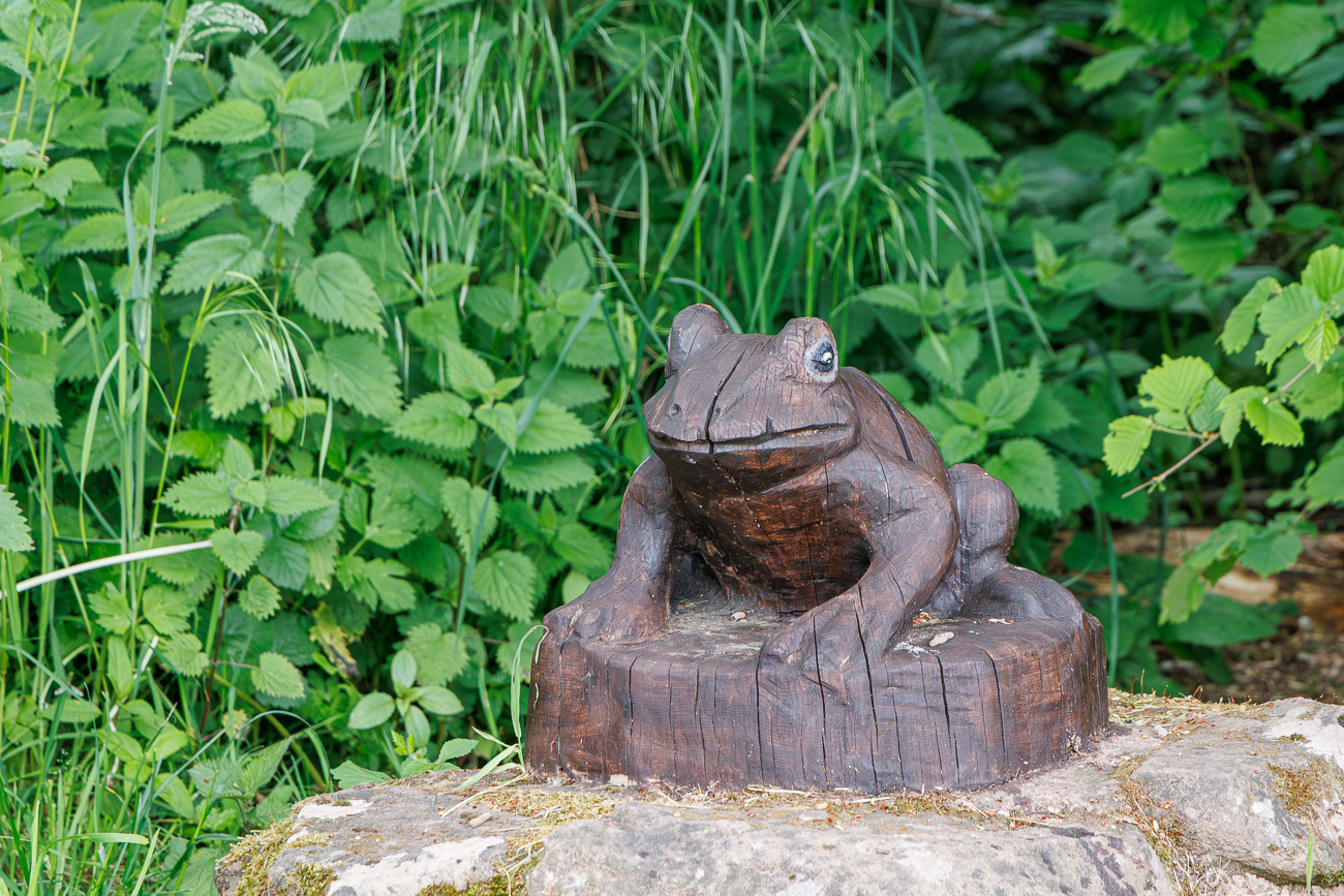 Hölzerner Frosch