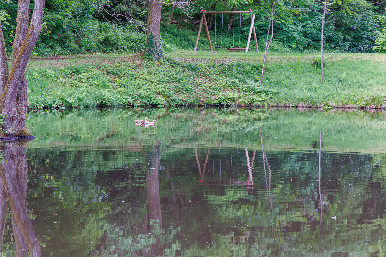 Weiher am Schwarzweiherfluss