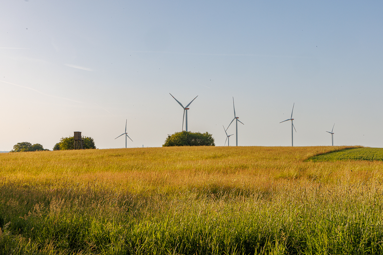 Windräder über den Feldern