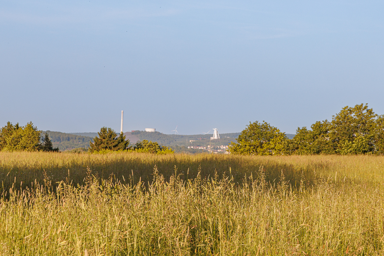 Am Horizont die Grube Göttelborn