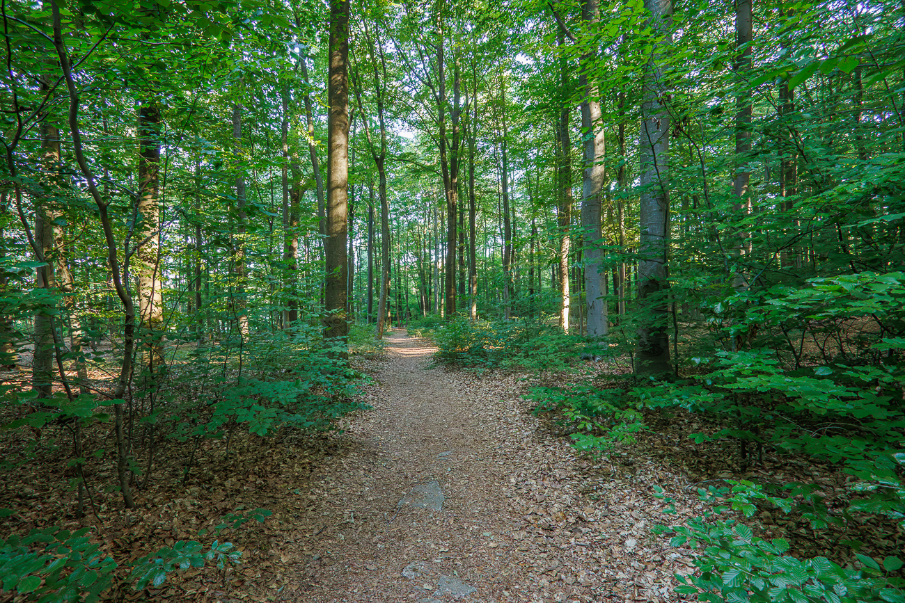 Kühler Weg bei der Sommerhitze