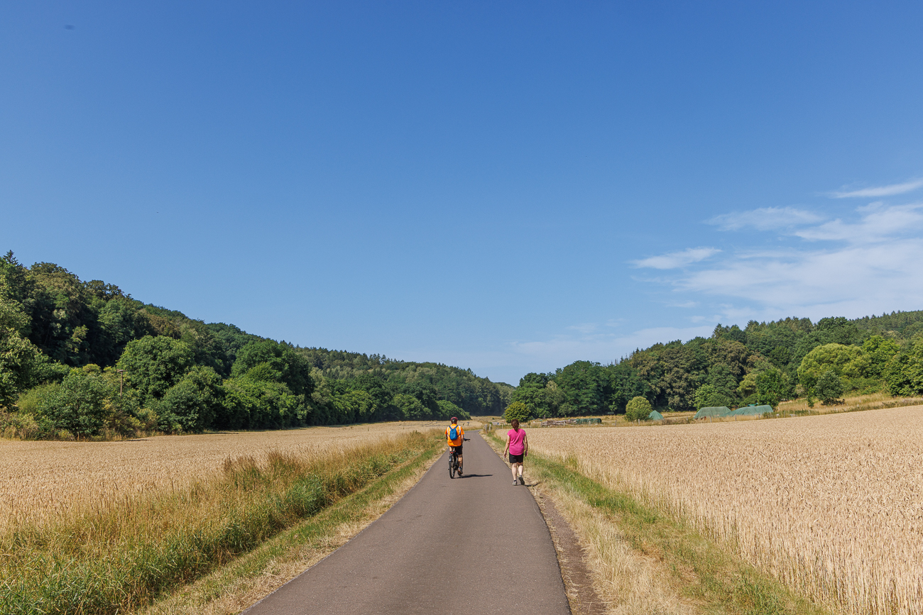 Sonniger Feldweg, aber gleich geht es in den Wald