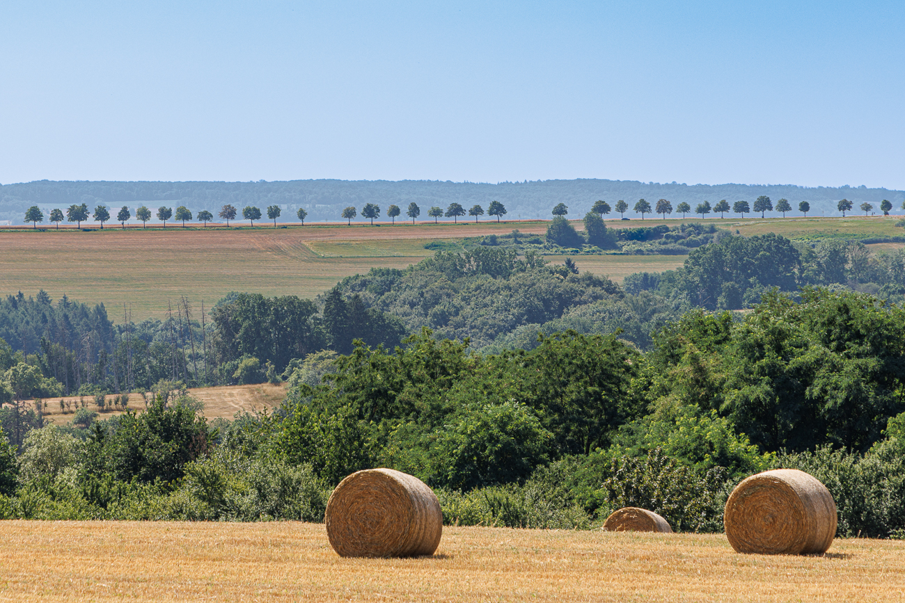 Blick in die Landschaft