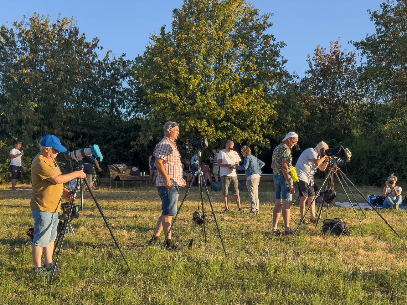 Alle in Aktion
