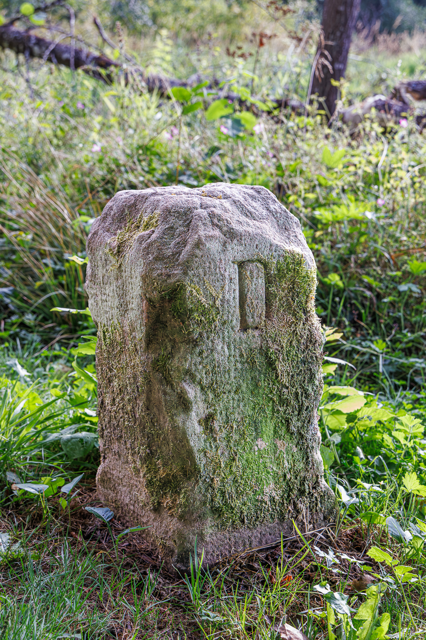 Grenzstein des Saargebiets ...
