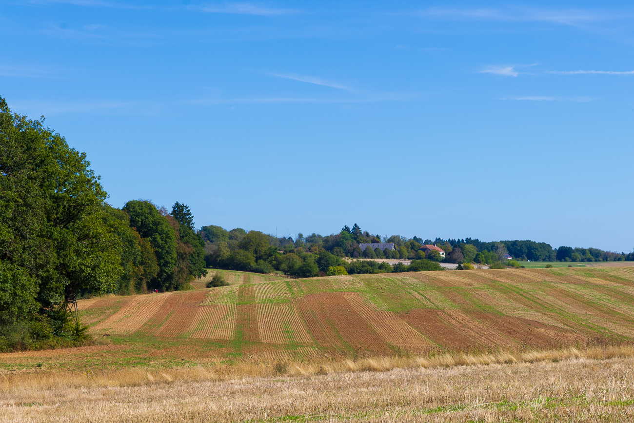 Felder am Waldrand bei Marpingen
