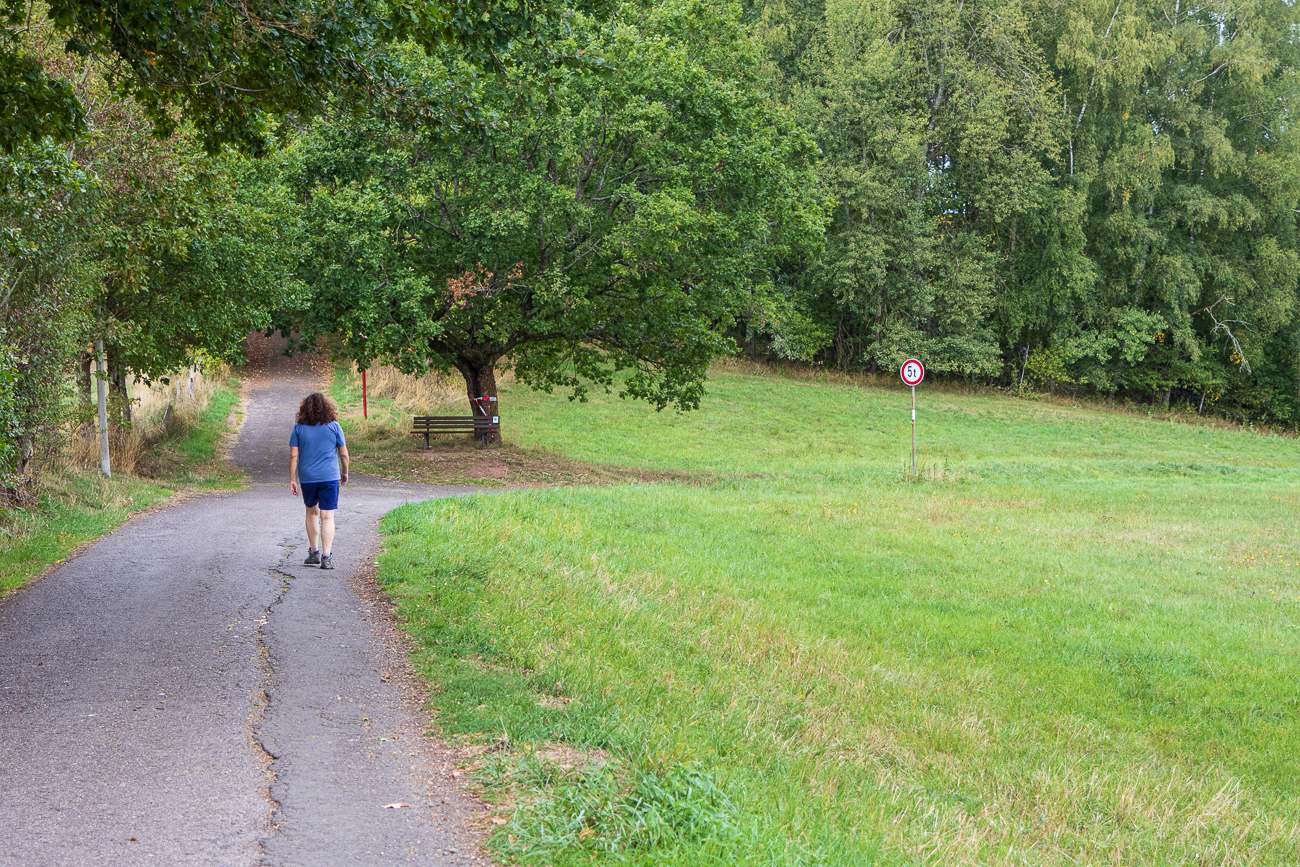 Weg zum Weiher des ASV Hirzweiler