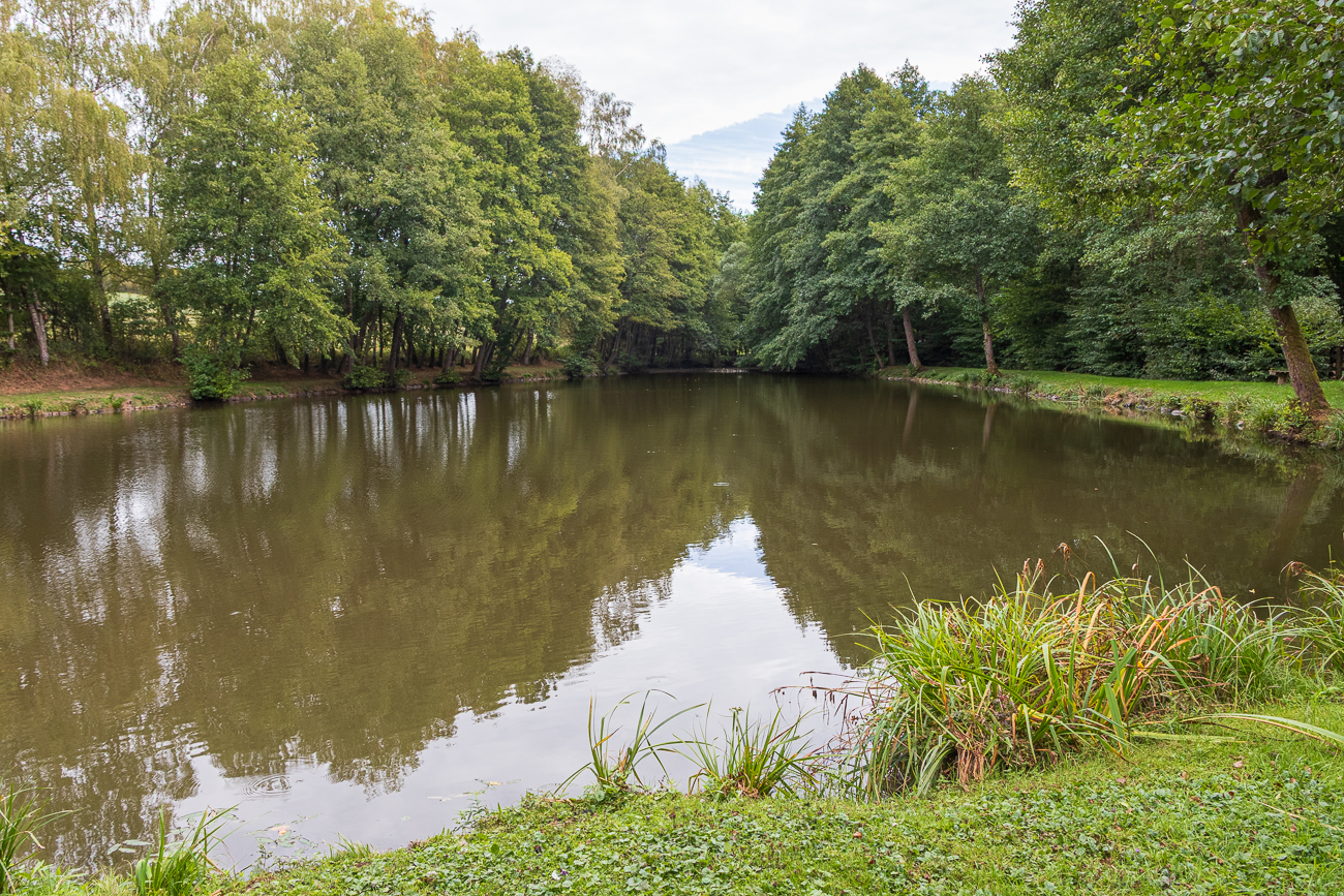 Am Weiher des ASV Hirzweiler